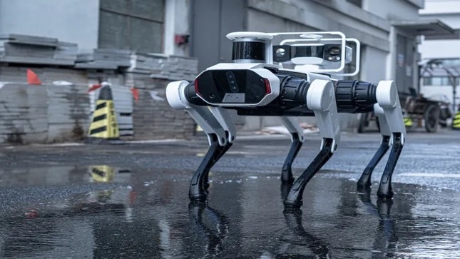 Robot chó 6 chân bảo tồn chùa gỗ cổ nhất, cao nhất thế giới ảnh 2