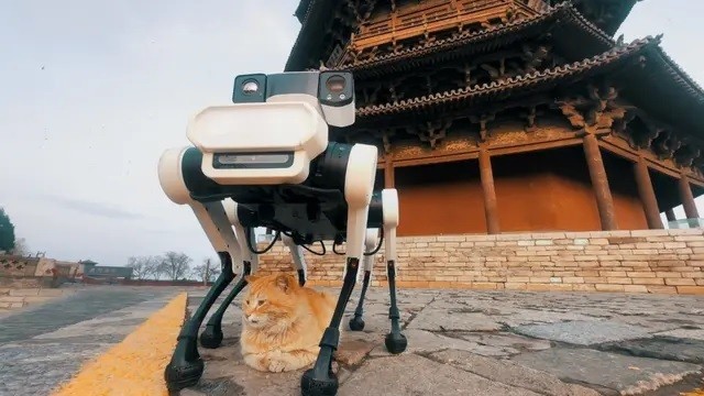 Robot chó 6 chân bảo tồn chùa gỗ cổ nhất, cao nhất thế giới ảnh 1