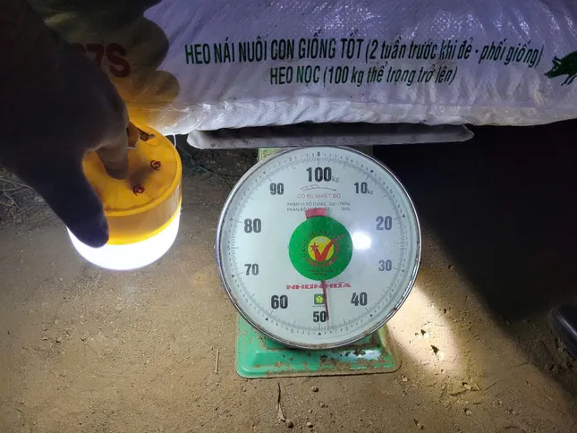 Bắt giữ đối tượng vận chuyển, tàng trữ trái phép hơn 1,3 tấn thuốc nổ ảnh 1