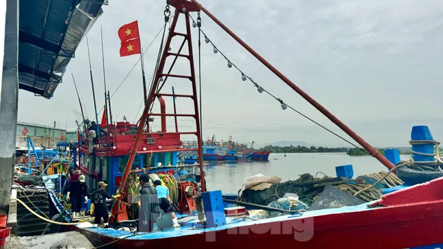 Quảng Ngãi còn 2 tàu cá và 16 lao động nằm trong vùng nguy hiểm của bão số 1 ảnh 2