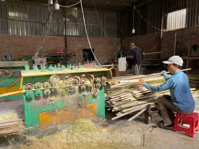 Bình Định dành hơn 6 tỷ đồng đào tạo nghề nông nghiệp cho lao động nông thôn ảnh 1