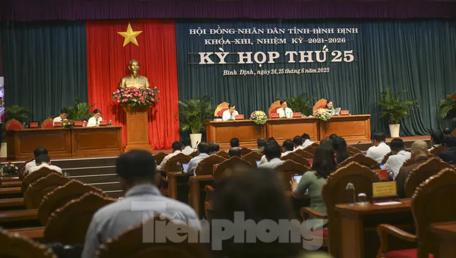 Thông tin việc nhiều doanh nghiệp ở Bình Định dừng hoạt động, giải thể ảnh 1