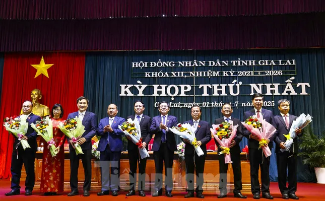Phân công nhiệm vụ 7 Phó Chủ tịch UBND tỉnh Gia Lai mới ảnh 1