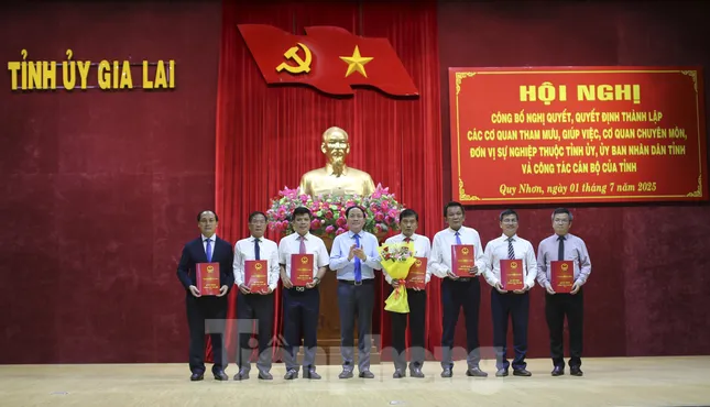Chi tiết lãnh đạo sở, ngành của tỉnh Gia Lai mới ảnh 1