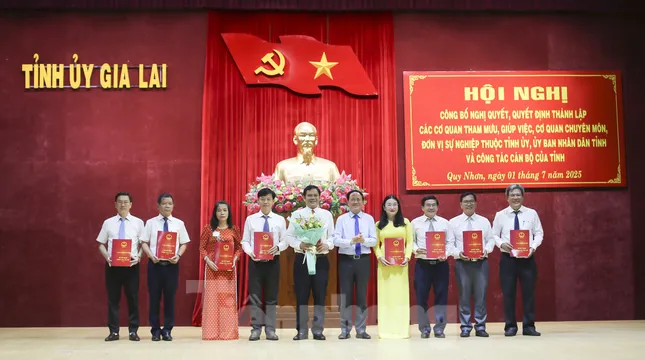 Chi tiết lãnh đạo sở, ngành của tỉnh Gia Lai mới ảnh 2