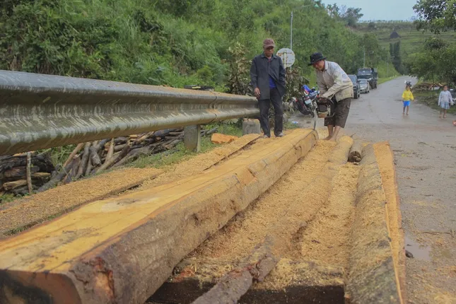 Hàng trăm khối gỗ khai thác trái phép chèn kín, 'đe dọa' cầu Nước Bua ảnh 4