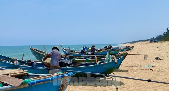 Ngư dân bỏ túi tiền triệu mỗi ngày nhờ cào ‘lộc biển’ ảnh 14