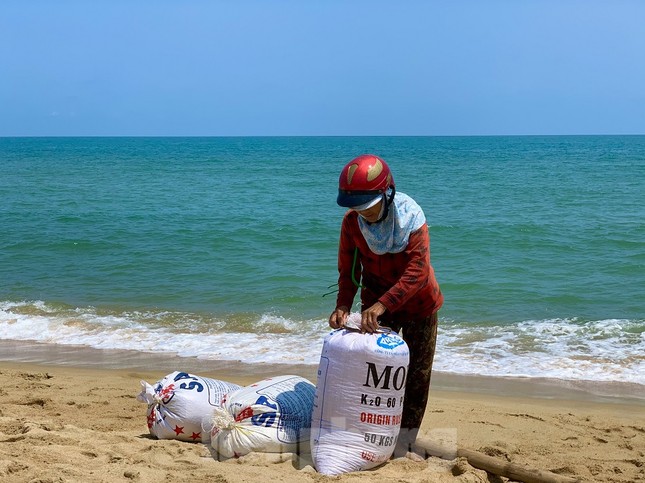 Ngư dân bỏ túi tiền triệu mỗi ngày nhờ cào ‘lộc biển’ ảnh 5
