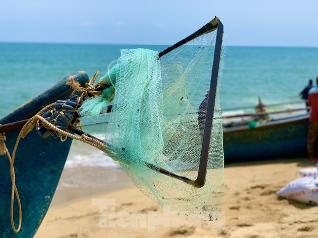 Ngư dân bỏ túi tiền triệu mỗi ngày nhờ cào ‘lộc biển’ ảnh 3