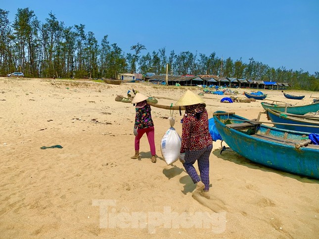 Ngư dân bỏ túi tiền triệu mỗi ngày nhờ cào ‘lộc biển’ ảnh 8