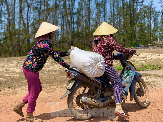 Ngư dân bỏ túi tiền triệu mỗi ngày nhờ cào ‘lộc biển’ ảnh 13
