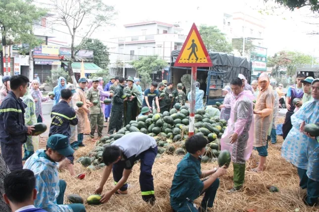 Quân dân Đà Nẵng đội mưa, gom dưa giúp tài xế xe tải bị lật ảnh 4