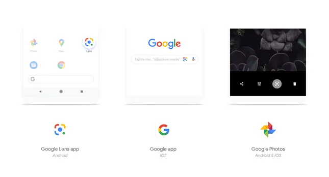 “Mắt thần điện tử” Google Ống kính: “Bảo bối thần kỳ” để soạn đề cương mùa thi ảnh 2