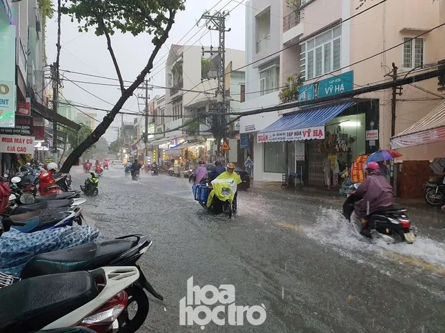 Đi học chưa đầy một tháng, teen Đà Nẵng lại “ngừng đến trường” vì mưa lũ ảnh 2