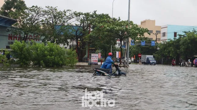 Đường phố Đà Nẵng hóa sông, người dân đổ ra chèo thuyền, bắt cá mặc thành phố can ngăn ảnh 1
