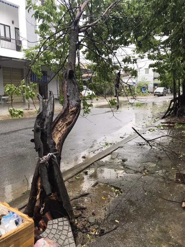 Tình hình bão số 9 đi qua miền Trung: Cúp điện nhiều nơi, mái tôn bay như giấy ảnh 4