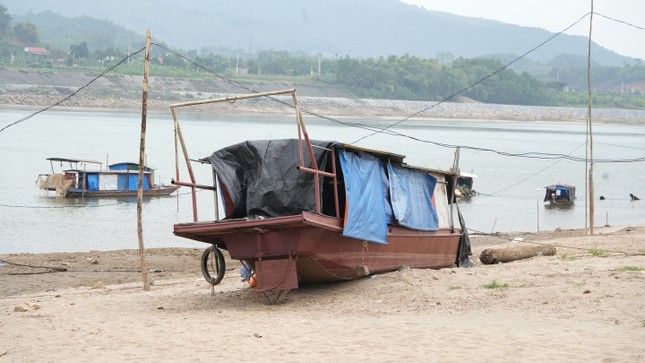 Ảnh 360: Nước sông Hồng cạn trơ đáy, cây cầu nghìn tỷ nối Hà Nội - Phú Thọ trơ móng ảnh 5