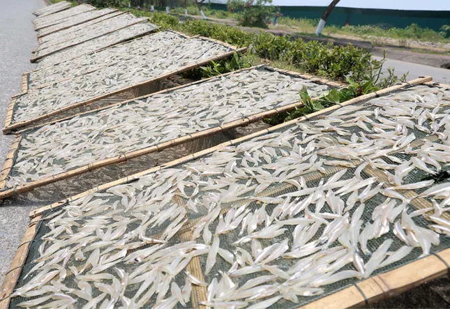 Đặc sản làng nghề du lịch Cửa Lò ảnh 3