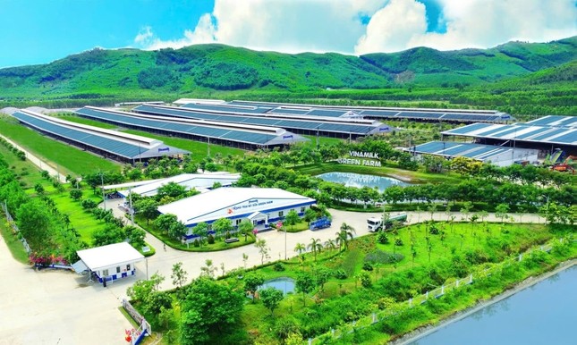Kinh nghiệm tiết kiệm, chuyển đổi năng lượng xanh phục vụ sản xuất của Vinamilk ảnh 2