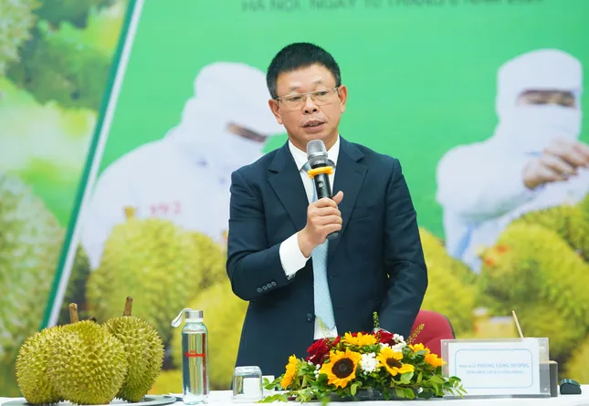Khủng hoảng sầu riêng: 'Chúng ta đều có trách nhiệm' ảnh 23