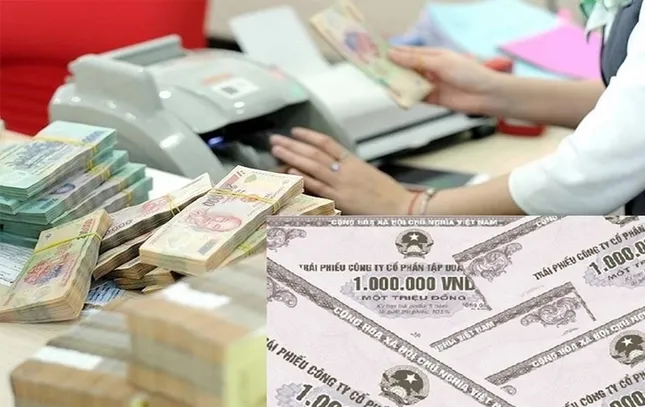 Trái chủ điêu đứng, doanh nghiệp mặc kệ ảnh 1