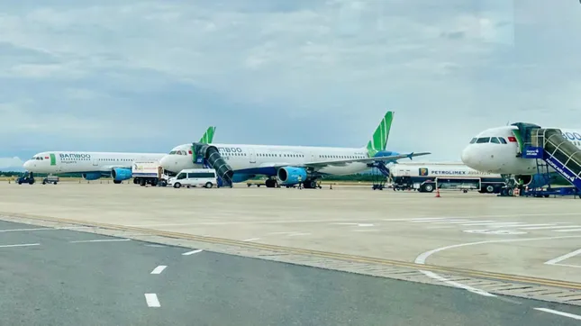 Chủ tịch Bamboo Airways xin từ nhiệm ảnh 1