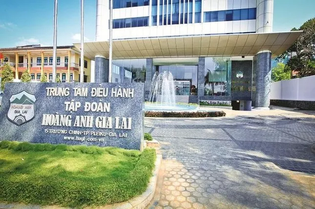 Động thái lạ của lãnh đạo Hoàng Anh Gia Lai ảnh 1