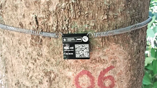 Gắn QR cho cây giống tự nhiên, lan tỏa ý thức bảo vệ rừng đến cộng đồng ảnh 3