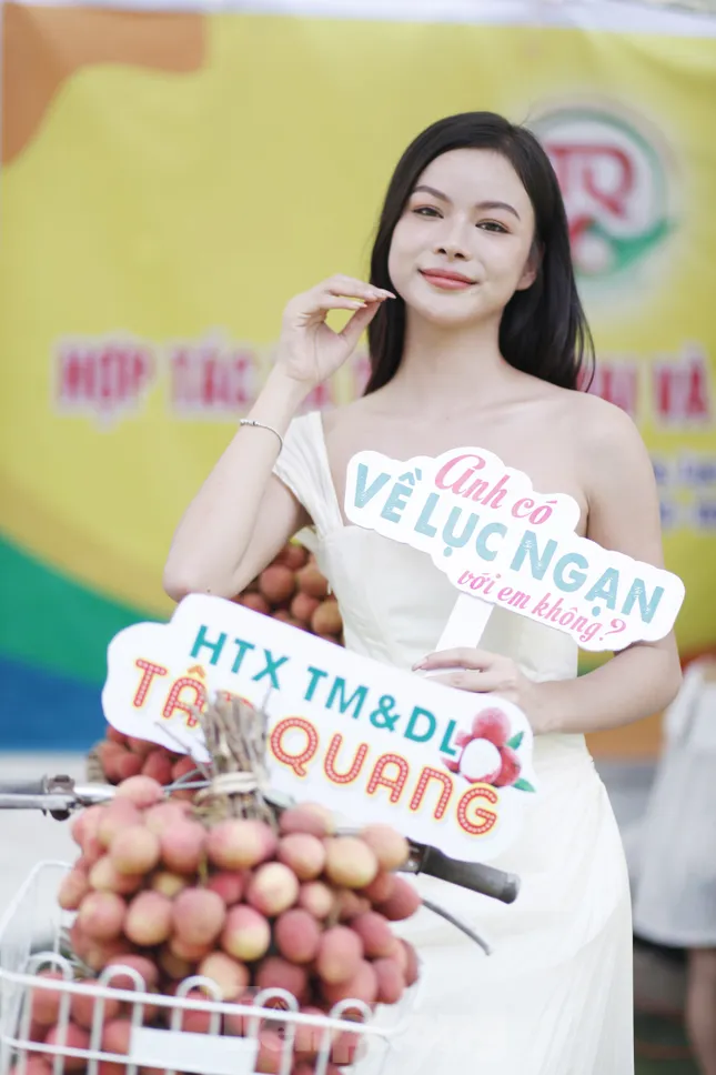 Giới trẻ hào hứng check-in vườn vải thiều đặc sản Bắc Giang ảnh 12