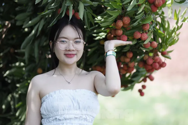 Giới trẻ hào hứng check-in vườn vải thiều đặc sản Bắc Giang ảnh 4