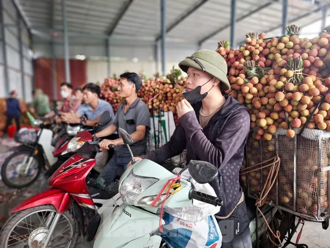 Đi chợ vải thiều Bắc Giang ảnh 7