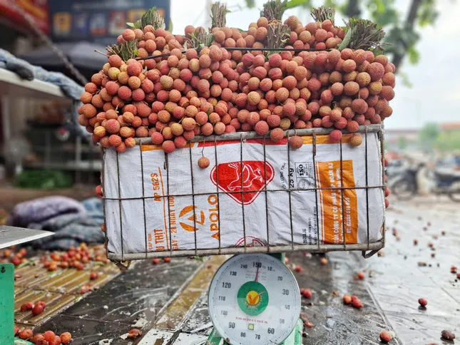 Đi chợ vải thiều Bắc Giang ảnh 9