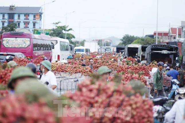 Đi chợ vải thiều Bắc Giang ảnh 2