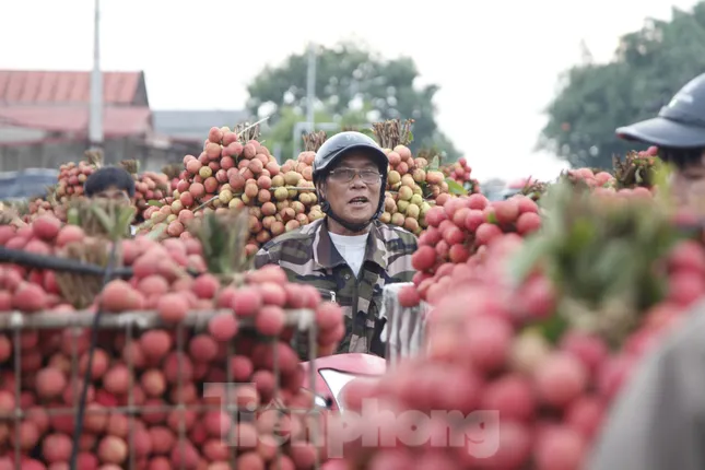 Đi chợ vải thiều Bắc Giang ảnh 3