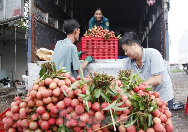 Đi chợ vải thiều Bắc Giang ảnh 11