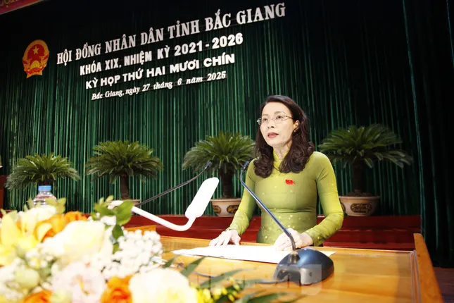 HĐND tỉnh Bắc Giang họp lần cuối thông qua nhiều nội dung quan trọng ảnh 2