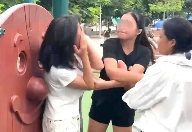 Công an xác minh đối tượng hành hung cô gái tại công viên ảnh 1