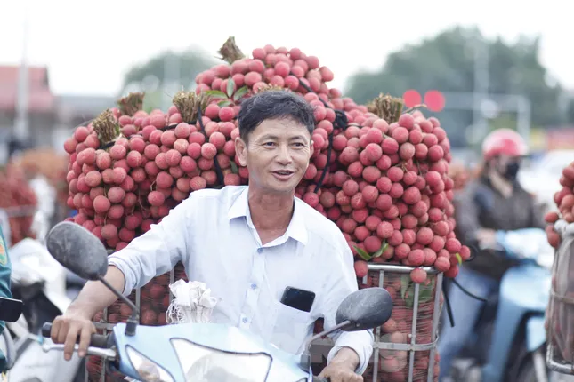 Vải thiều Bắc Ninh vào khu công nghiệp, doanh nghiệp FDI đăng ký mua tới tấp ảnh 1