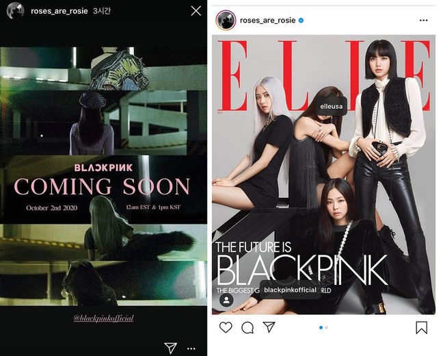 Soi lại những hành động gây tranh cãi của Rosé BLACKPINK: Do thiếu tinh tế hay quá vô tư? ảnh 4