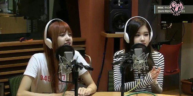 Soi lại những hành động gây tranh cãi của Rosé BLACKPINK: Do thiếu tinh tế hay quá vô tư? ảnh 2