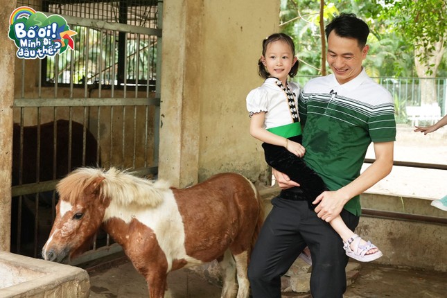 Bố Ơi, Mình Đi Đâu Thế?: Bố con Quách Ngọc Tuyên hội ngộ "em bé Điện Biên" ảnh 3