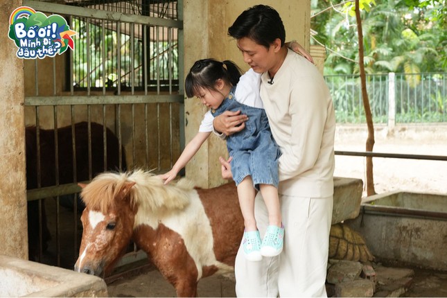 Bố Ơi, Mình Đi Đâu Thế?: Bố con Quách Ngọc Tuyên hội ngộ "em bé Điện Biên" ảnh 4