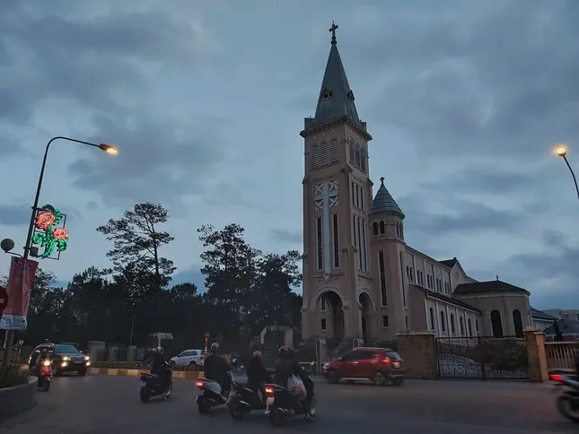 Dẫu mai anh đào đang mùa nở rộ, Đà Lạt những ngày cuối năm vẫn vắng lặng lạ thường ảnh 6