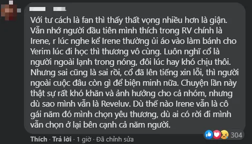 Cuộc chiến của fan quốc tế và netizen Hàn còn nóng hơn cả scandal lăng mạ của Irene ảnh 12