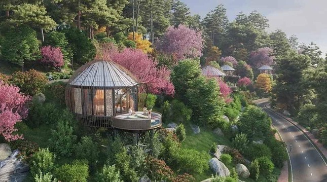 Thực hư thông tin xuất hiện khu du lịch với kiến trúc tổ chim độc đáo ở Hòa Bình ảnh 9