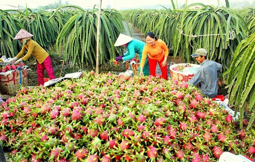 Trung Quốc dự kiến mở cửa chợ biên giới vào ngày 10/2 ảnh 1