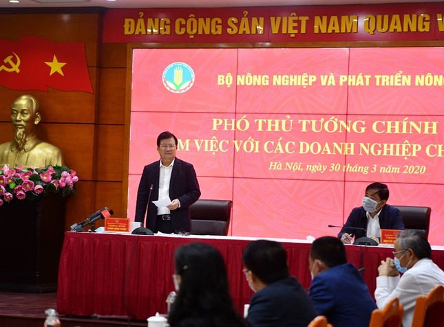 Giảm giá lợn hơi về 70.000 đồng/kg, người tiêu dùng có được hưởng lợi? ảnh 1