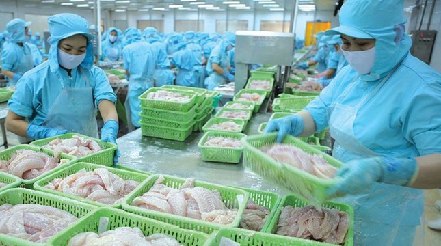 Chủ tịch VCCI: Việt Nam chuẩn bị đón làn sóng dịch chuyển lớn nhất lịch sử ảnh 1