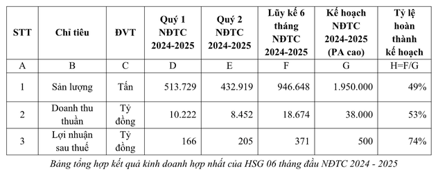 Tập đoàn Hoa Sen báo lãi hơn 370 tỷ đồng trong 2 quý đầu niên độ tài chính ảnh 2