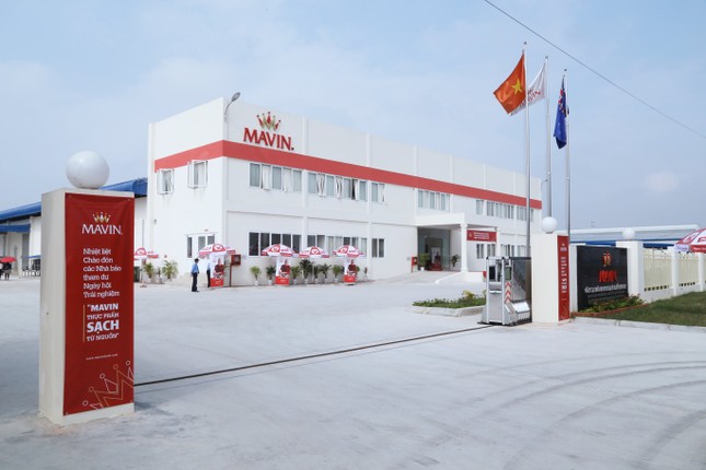 Mavin Foods nhận giải thưởng Toàn cầu IFFA DFV 2025 ảnh 2